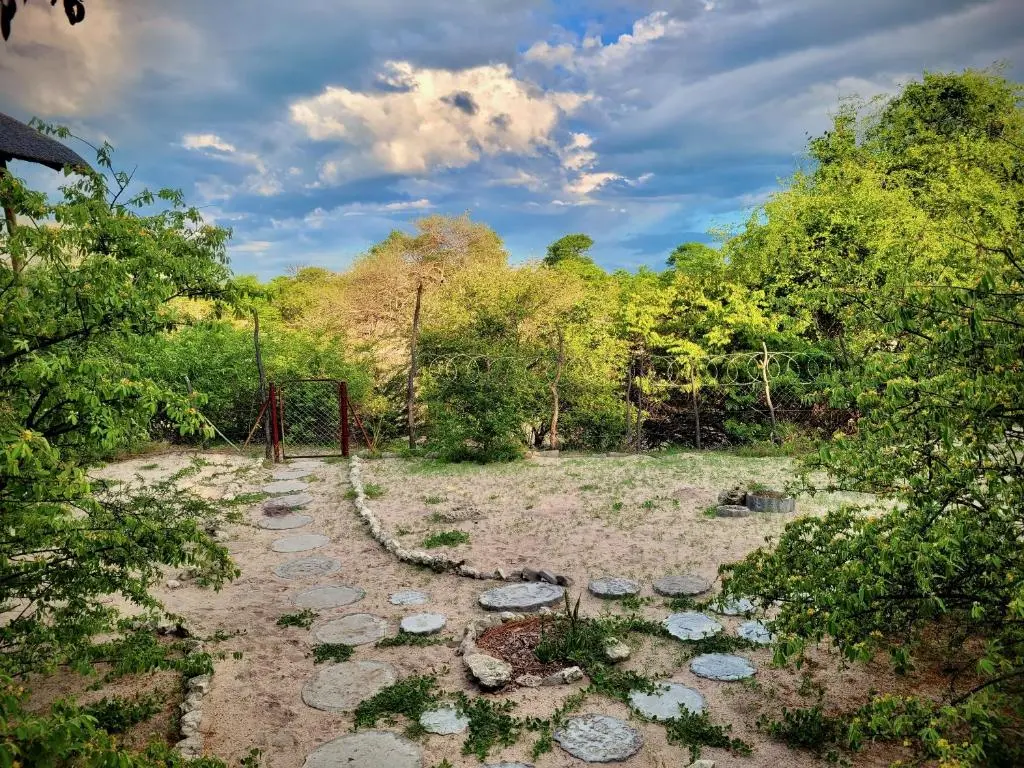 img_id_2145316.webp
