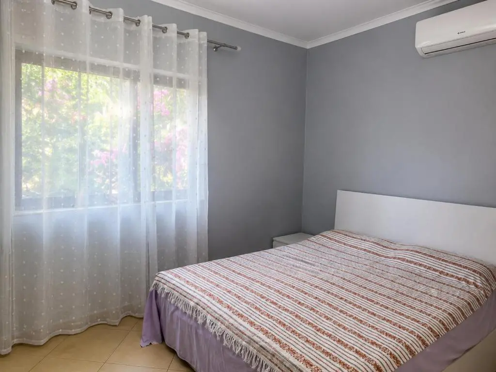 img_id_2156039.webp