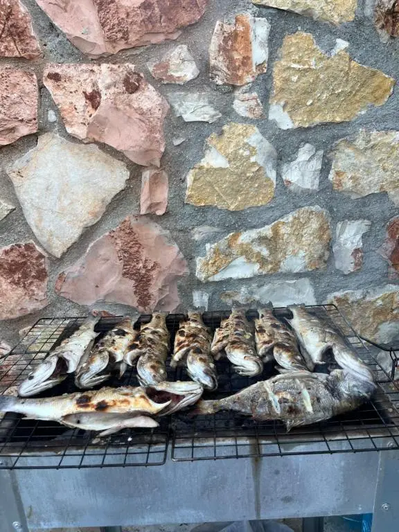 img_id_2175493.webp