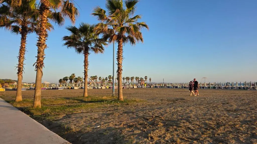 img_id_2177731.webp