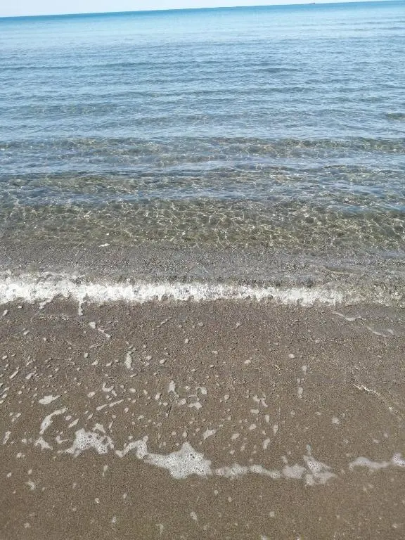 img_id_2184359.webp