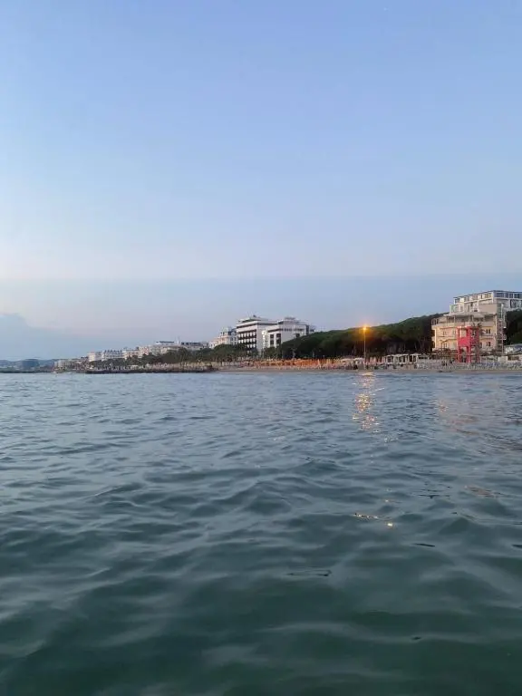 img_id_2191766.webp