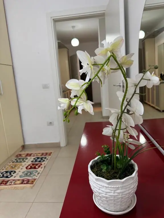 img_id_2192072.webp