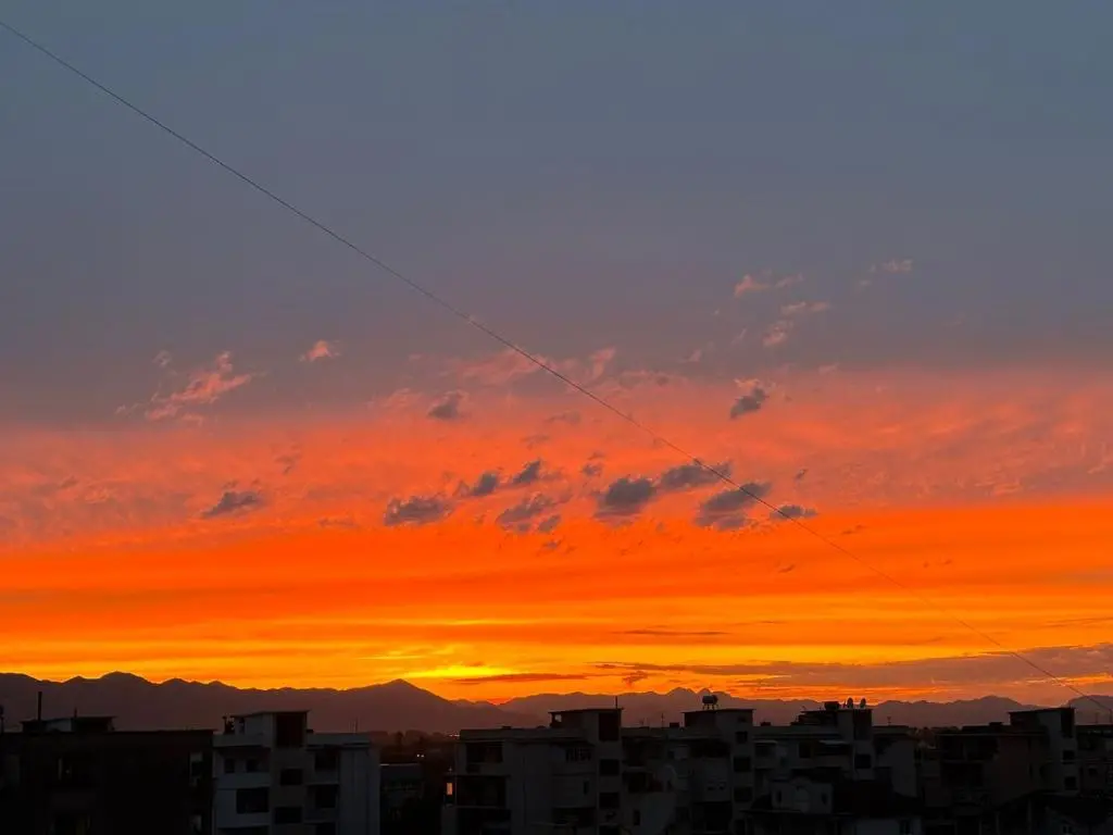 img_id_2193439.webp